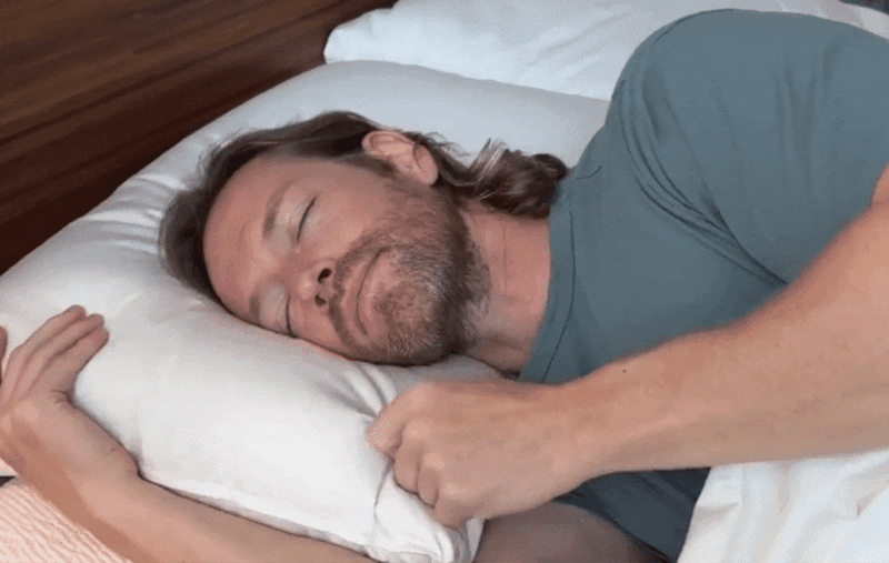 Organic Wool Pillow